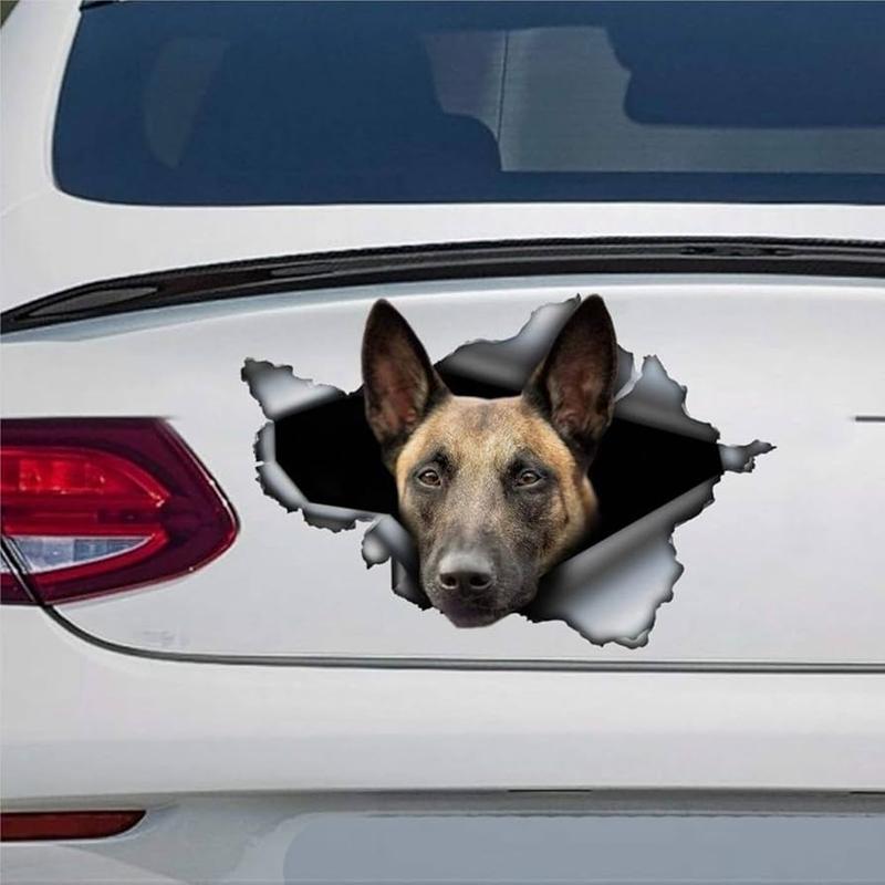 Obowiązkowe wyposażenie samochodu w Belgii