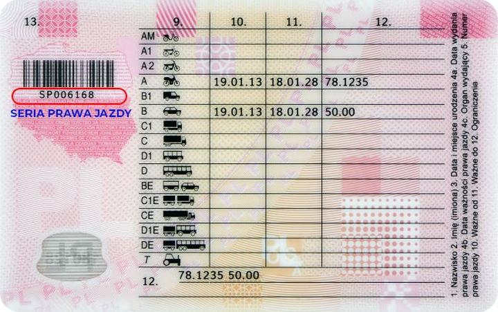 Nauka jazdy od podstaw