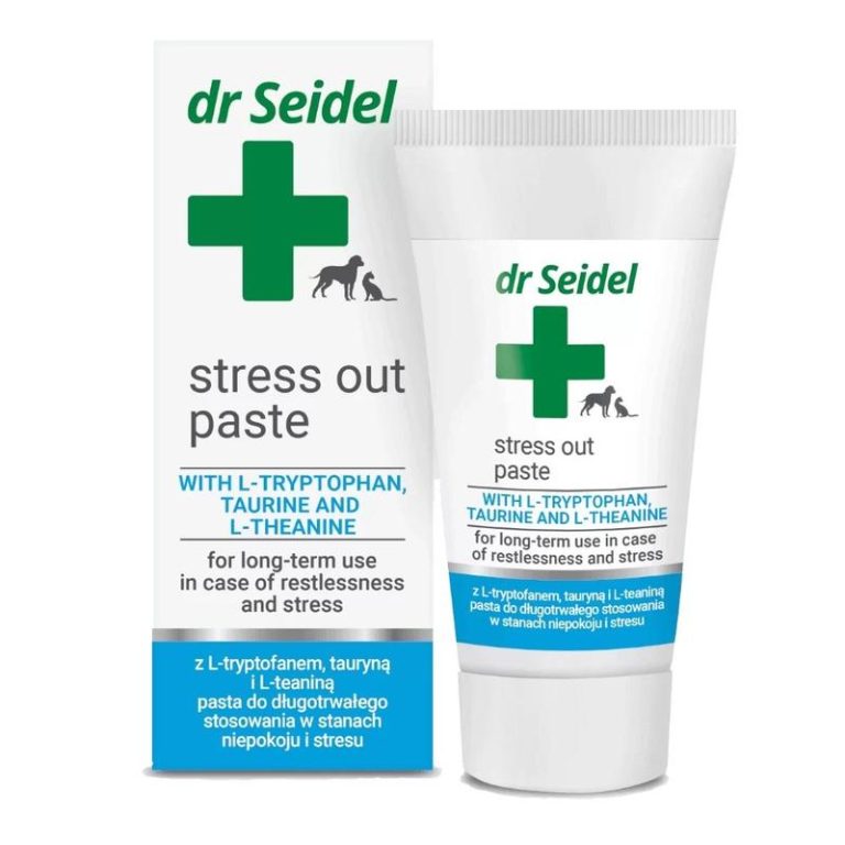 Skuteczne sposoby na to, jak uspokoić psa w samochodzie podczas podróży