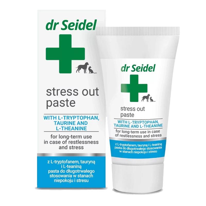 Skuteczne sposoby na to, jak uspokoić psa w samochodzie podczas podróży