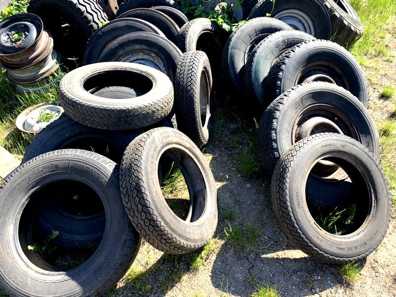 Stabilność żuka na drodze