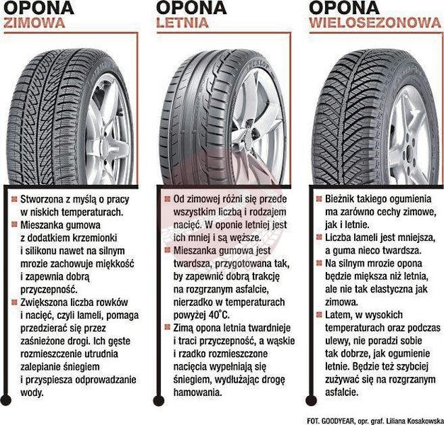 Wybór opon do samochodu