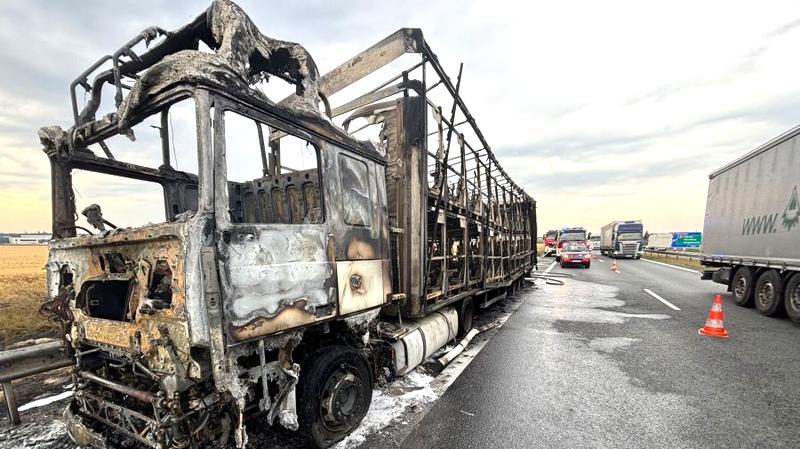 Zakazy dla ciężarówek