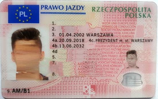 Punkty karne